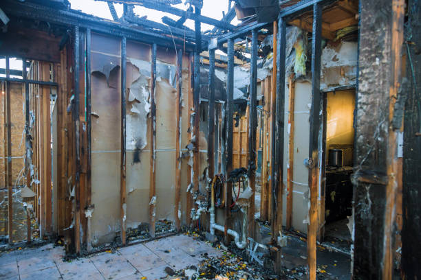 Professional Fire Damage Removal technician working in Carney, MD